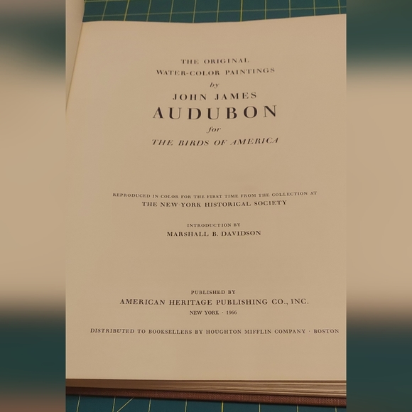 Ground Dove, John James Audubon - Picture 3 of 4